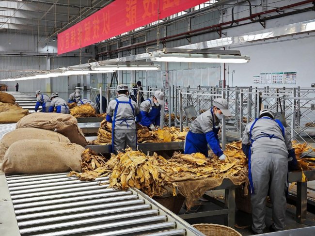 情暖職工聚合力 工會暖心伴同行 ——楚雄復(fù)烤廠工會系列服務(wù)舉措繪就職工幸福底色