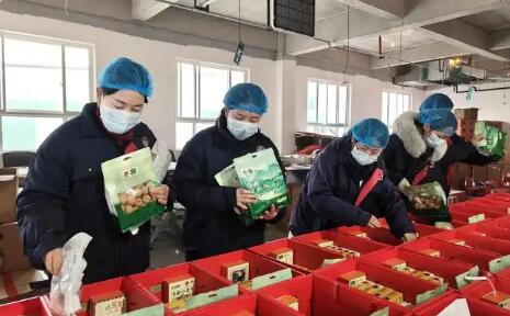 聚全國好核桃 賣全球大市場  陜西洛南全力打造百億級(jí)核桃產(chǎn)業(yè)集群