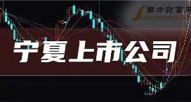 寧夏上市公司總市值突破2300億元 研發(fā)投入激增超200%