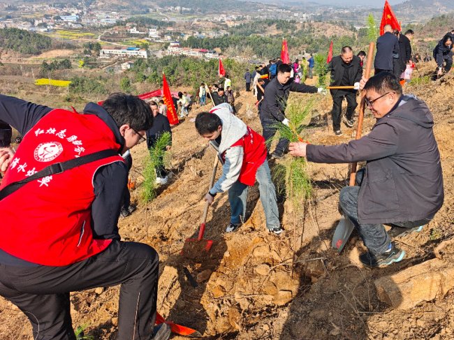 湖北浠水：植綠護綠踐初心 繪就生態(tài)新畫卷