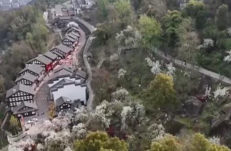 賞花游“含金量”不斷提升 多元“花經(jīng)濟”為鄉(xiāng)村振興帶來增收致富新動力