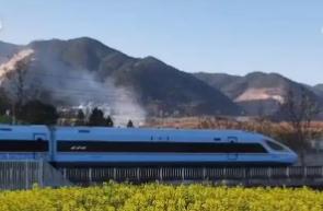 尋春景、游春色，一車暢達！賞花專線讓“春日經(jīng)濟”熱力十足