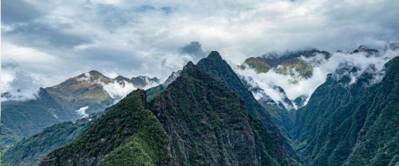 龍陵紫皮石斛：中國石斛產(chǎn)業(yè)的“標(biāo)準答案”？