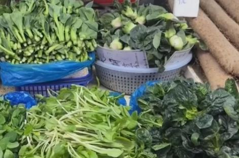 春季消費(fèi)市場(chǎng)“春鮮”熱潮涌動(dòng) “春日經(jīng)濟(jì)”活力十足