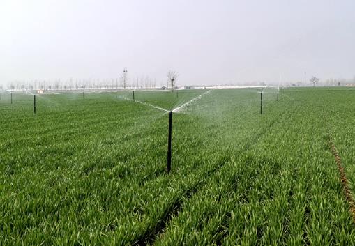 河南：萬眼機(jī)井有“管家”