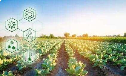 科學管護 綜合施策  四川以科技賦能春季農(nóng)業(yè)生產(chǎn)