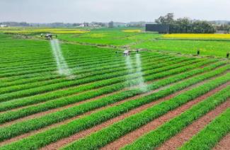 資金投入超22億 福建保障春季農(nóng)業(yè)生產(chǎn)開好局