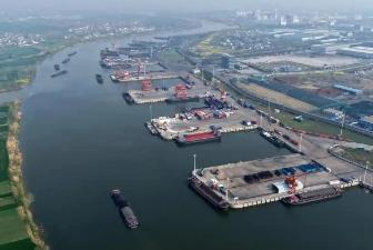 河南周口：打造中原出海新門戶