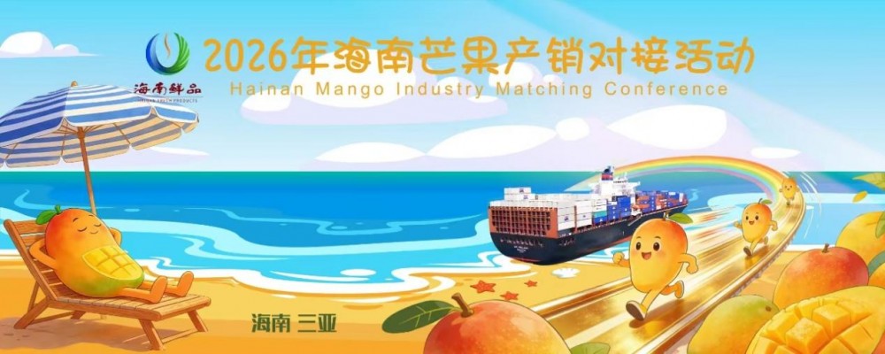 暢通產(chǎn)銷 賦能海南芒果產(chǎn)業(yè)升級 2026年海南芒果產(chǎn)銷對接活動圓滿舉辦