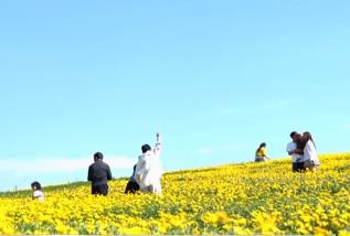 各地不斷“上新”新場(chǎng)景、新業(yè)態(tài) “體驗(yàn)經(jīng)濟(jì)”激發(fā)文旅新活力