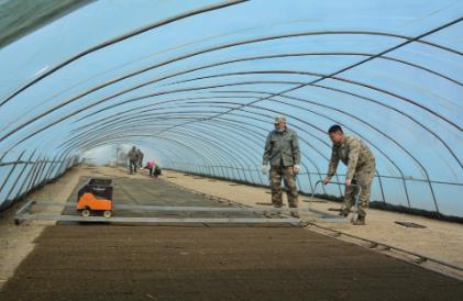 黑龍江省各地有序展開小麥春播和水稻育秧