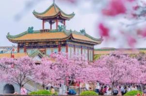 清明假期廣東接待游客1985.1萬(wàn)人次