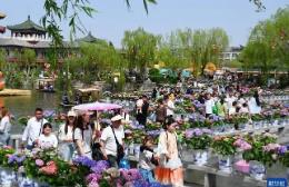 2026年清明節(jié)假期國(guó)內(nèi)出游1.35億人次