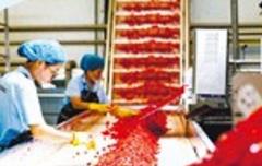 特色農(nóng)產(chǎn)品變身優(yōu)勢產(chǎn)業(yè)