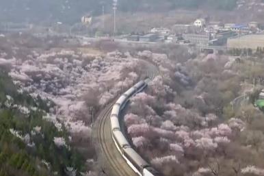 搭乘“開往春天的列車”看春日文旅一路生花“綻放”消費(fèi)熱活力