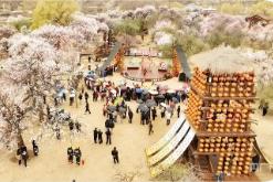 清明假期內(nèi)蒙古文旅實現(xiàn)“雙增長”