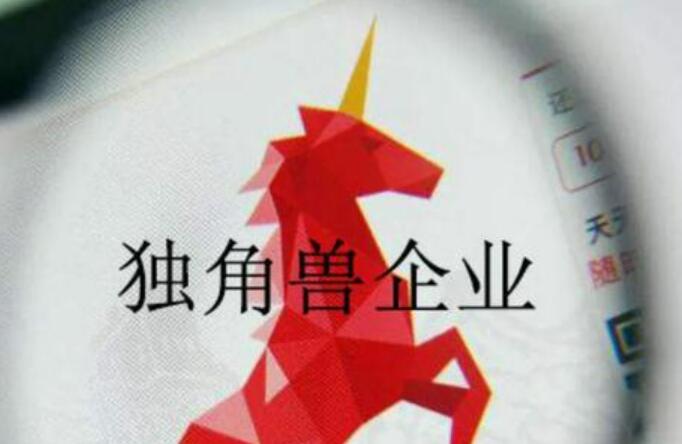 中國(guó)獨(dú)角獸企業(yè)占全球總量30% 總估值超1.6萬(wàn)億美元