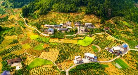 從“幫扶一村”到“帶動(dòng)一片”