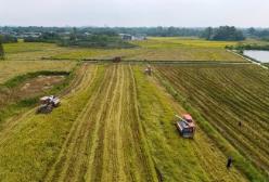 福建下達(dá)今年第二批耕地保護(hù)和生態(tài)修復(fù)專項(xiàng)資金