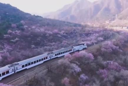 火車向著景區(qū)開(kāi) 全國(guó)鐵路一季度開(kāi)行旅游列車627列