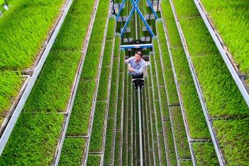 沃野春耕進(jìn)行時 廣袤田野上處處涌動著勃勃生機(jī)