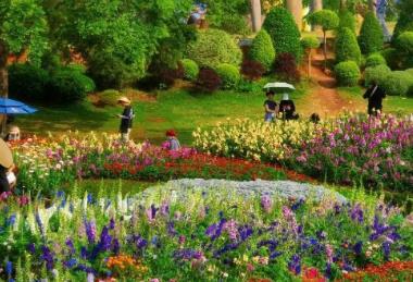 游客漲、預(yù)訂旺 “春日經(jīng)濟(jì)”催熱八桂消費(fèi)市場(chǎng)