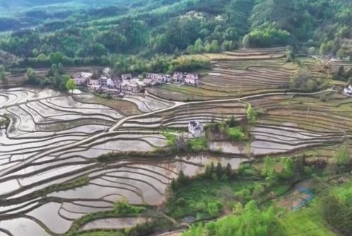 沃野春耕忙“田保姆”上崗 “科技春耕圖”在廣袤田野鋪展開