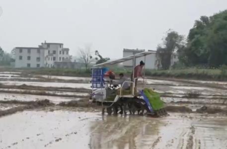 向科技要產(chǎn)量 “一站式”機(jī)械化農(nóng)事服務(wù)成為春耕生產(chǎn)新的“打開方式”