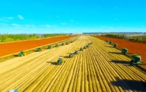 《2026年黑龍江省經(jīng)濟(jì)作物產(chǎn)業(yè)發(fā)展工作要點(diǎn)》發(fā)布