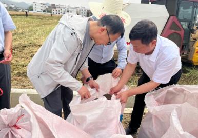 我國特早熟油菜育種取得突破