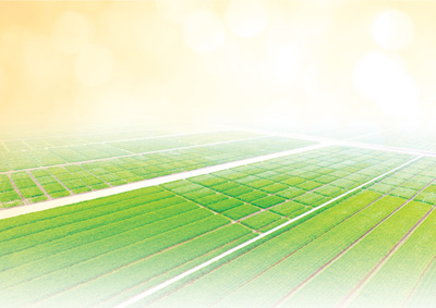 輕松種田 科學(xué)種田 ——春耕，打好高質(zhì)量發(fā)展底色