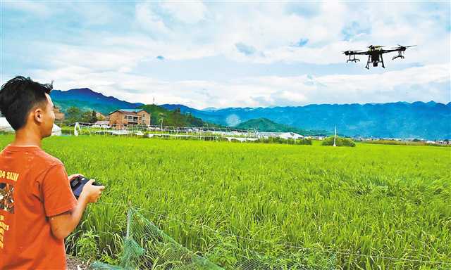 農(nóng)業(yè)蝶變 農(nóng)場搬線上 輕松當(dāng)農(nóng)民