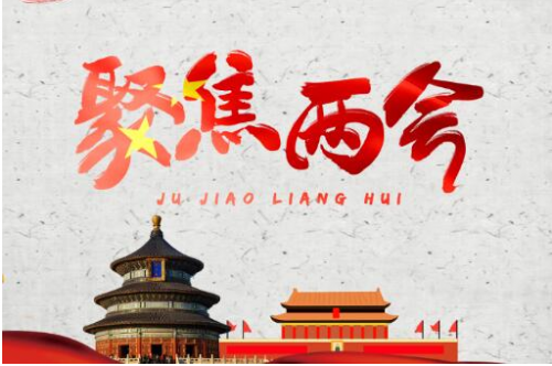 兩會看點：未來“互聯(lián)網(wǎng)+”仍是趨勢 佰材網(wǎng)順勢而為