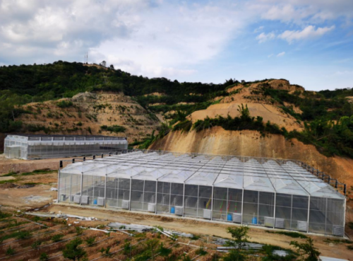 聯(lián)塑農(nóng)業(yè)布局智慧化農(nóng)業(yè)，保障高質(zhì)高產(chǎn) 