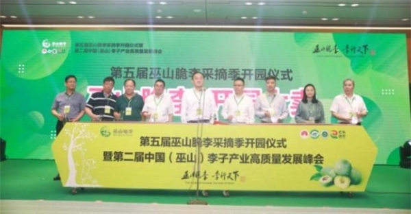 與“李”相約！巫山縣成功舉辦第五屆巫山脆李采摘季開(kāi)園儀式 