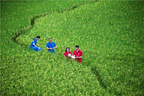 天地滋養(yǎng) 道地好糧 詮釋一滴大國濃香