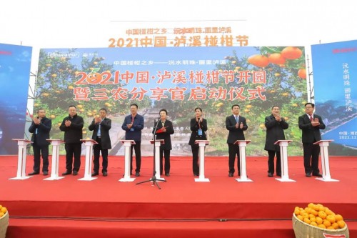 “三農(nóng)分享官”啟動站在瀘溪舉行 三農(nóng)頭部主播集結(jié)為瀘溪椪柑打CALL