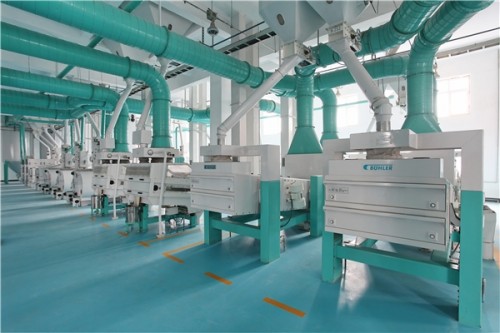 十月稻田稻花香米價格多少?性價比高,消費者品質(zhì)之選