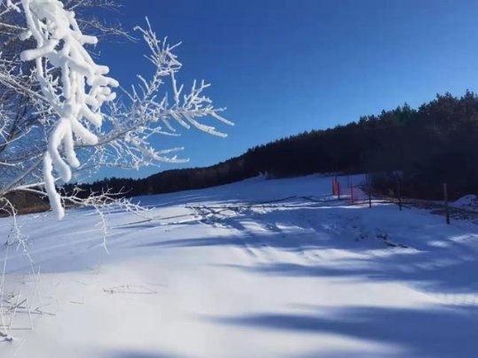  元旦小長(zhǎng)假玩點(diǎn)兒啥？九臺(tái)這些地方，不去可別后悔！