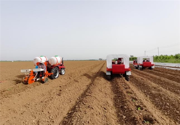  平頂山葉縣：移栽正當(dāng)時(shí)，機(jī)械來(lái)助力 