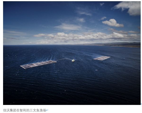 助力全民營(yíng)養(yǎng)周 推動(dòng)居民膳食平衡