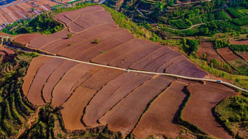 河南三門峽：強基礎(chǔ) 補短板 爭取煙葉高質(zhì)量發(fā)展主動權(quán)