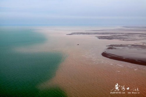 聲名從此大 汩沒一朝伸——2022東營市旅游發(fā)展大會(huì)側(cè)記
