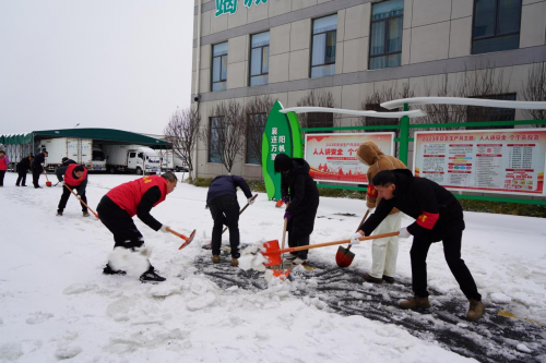 黨旗飄揚(yáng)我擔(dān)當(dāng),迎寒而上戰(zhàn)風(fēng)雪