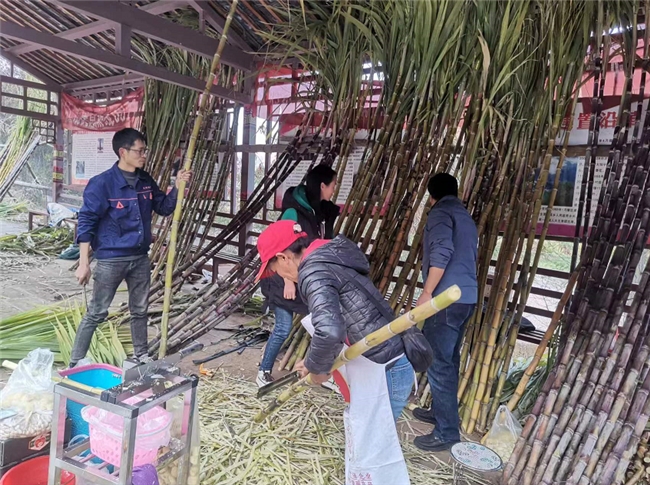 春日來“甜”——南華紅土坡獨有的“春味”