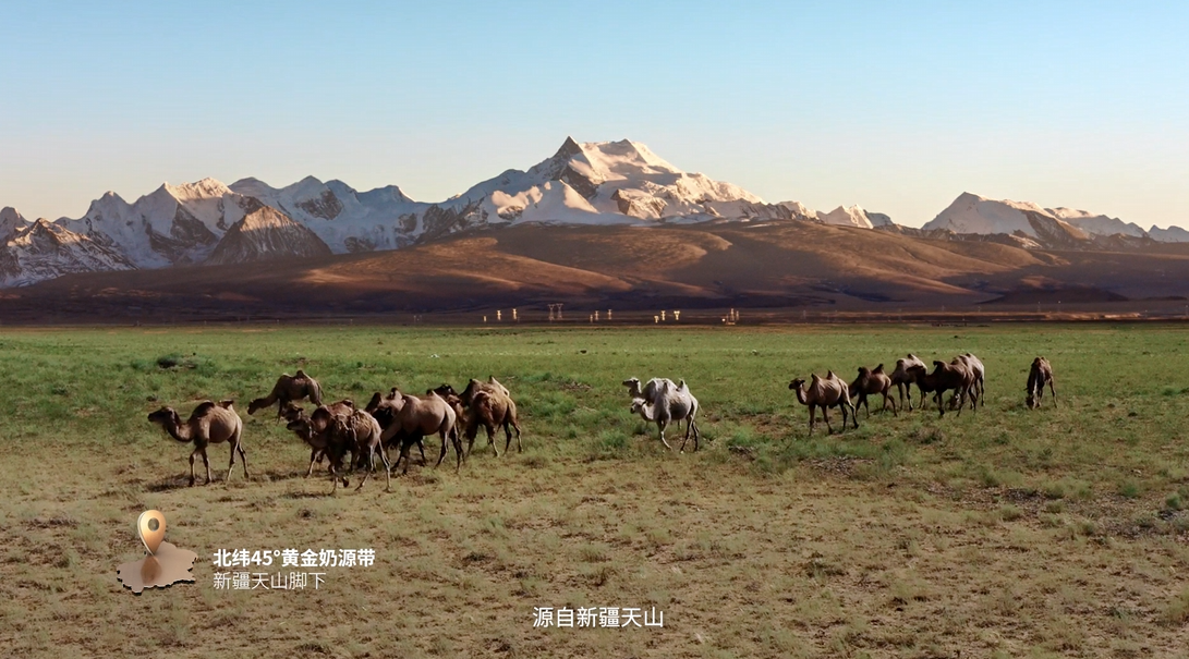 圖片18.png 圖片18.png