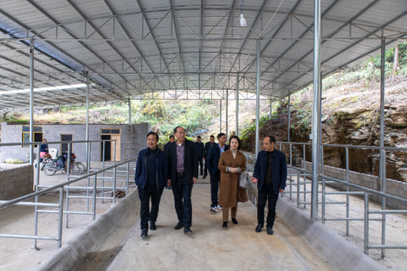 1730794428(1).jpg 1730794428(1).jpg