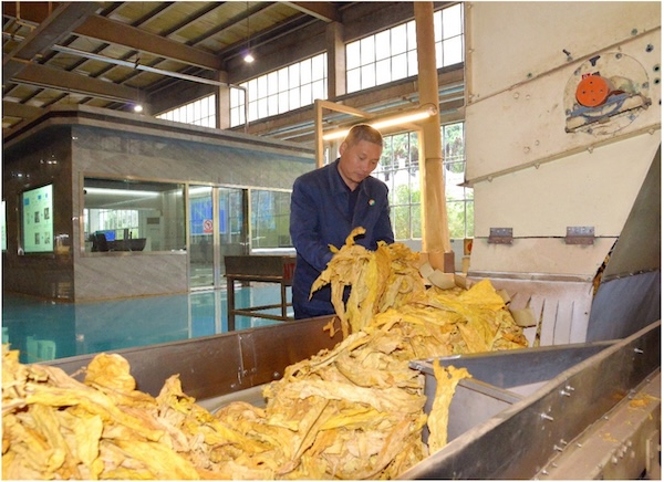 1731028981438709.jpg 1731028981438709.jpg