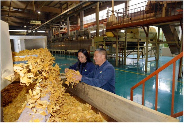 1731028990275704.jpg 1731028990275704.jpg