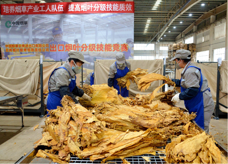 1732789196436901.png 1732789196436901.png